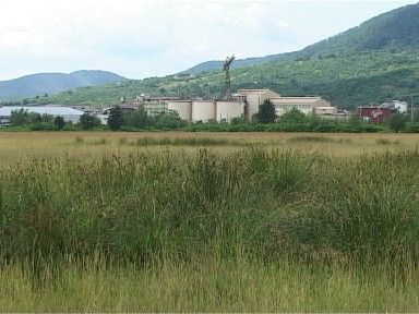 Foto halda de steril Meda ecologizata