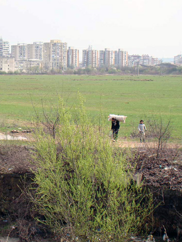 Foto fosta halda Meda