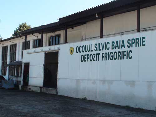 Ocolul Silvic Baia Sprie (c) eMM.ro