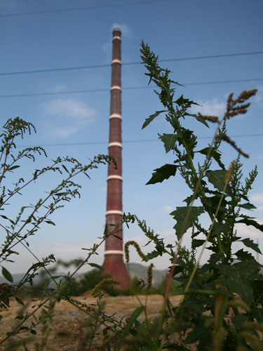 Foto: turn Phoenix - cos Baia Mare (c) eMaramures