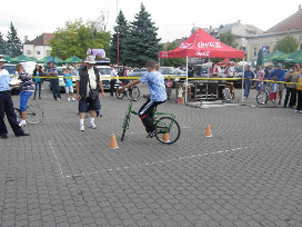 Foto: Cupa Castanelor - Carrom