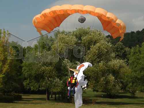 Foto: Parada Tinerilor Baia Mare (c) eMaramures.ro