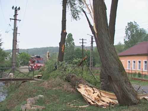 Foto copaci rupti de vant (c) eMaramures.ro