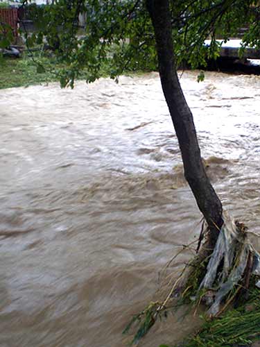 Rauri umflate in Maramures (c) eMM.ro