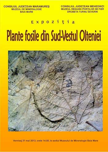 Plante si fosile din sud-vestul Olteniei - afis