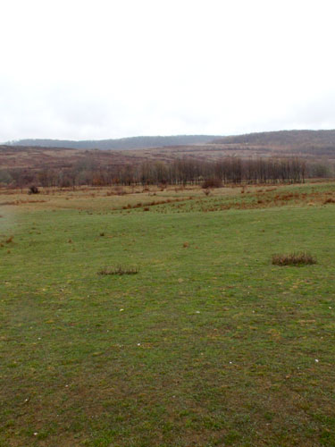 Foto: amplasament depozit ecologic - Tamaia, Farcasa (c) eMaramures.ro