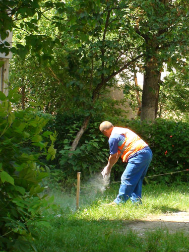 Foto: parcare Cuza Voda (c) eMaramures.ro