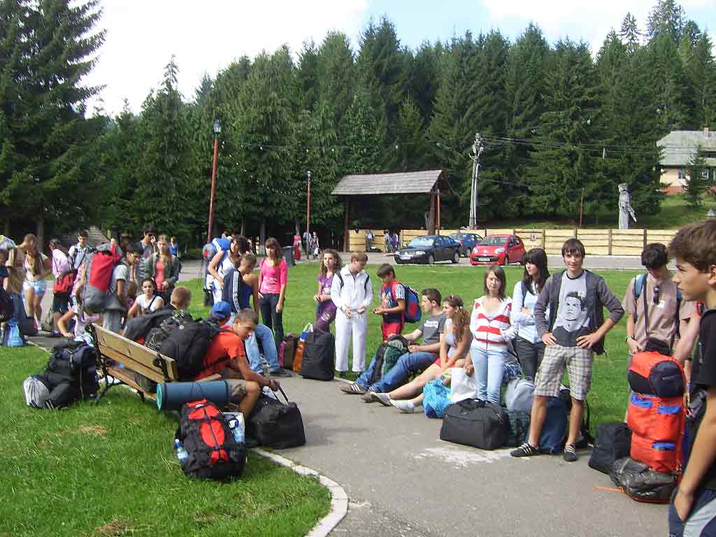 Foto Colegiul Tehnic "C.D. Nenitescu" - proiect eco