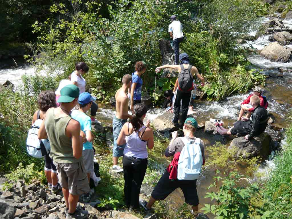 Foto Colegiul Tehnic "C.D. Nenitescu" - proiect eco