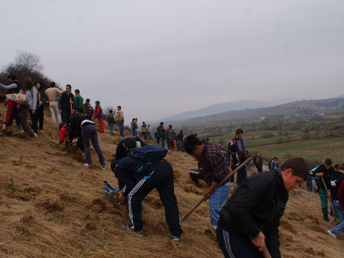 Foto: actiune impadurire - Targu Lapus (C) Serban Radu