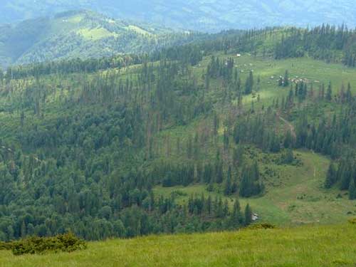 Parcul Natural Muntii Maramuresului