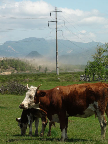 Foto: iaz Tautii de Sus - nori de praf (c) eMaramures.ro