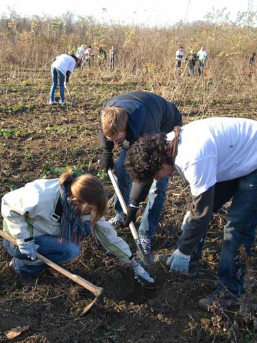 Foto plantare  arbori (c) exclusivnews.ro