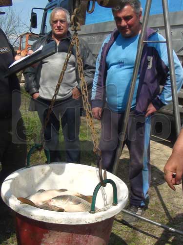 Repopulare cu peste in baltile din Maramures (c) eMM.ro