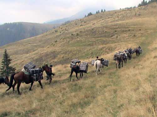 Contrabanda pe cai (c) IJPF Maramures