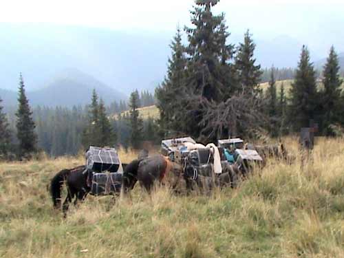 Contrabanda pe cai (c) IJPF Maramures