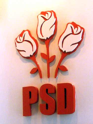 Trandafirii PSD (c) eMM.ro