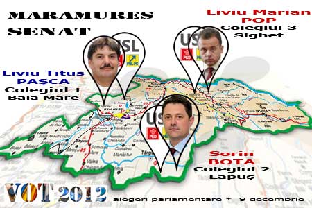 Foto: rezultate alegeri parlamentare Maramures - Senat (c) eMaramures.ro