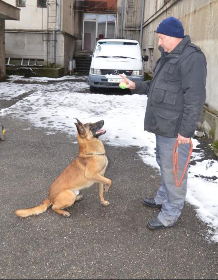 Foto: Caine IPJ Maramures