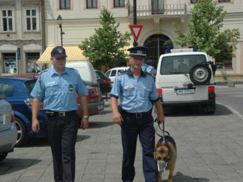 Foto patrula politie Baia Mare (c) eMaramures.ro