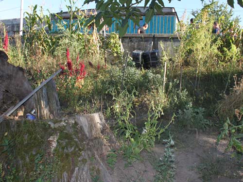 Foto: contrabandist minor (c) eMaramures.ro