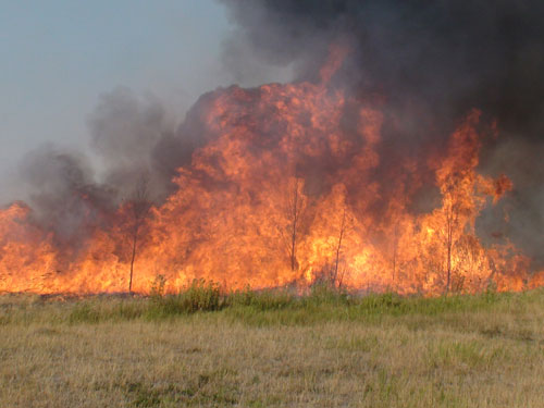 Incendiu zona Cuprom Baia Mare (c) eMaramures.ro
