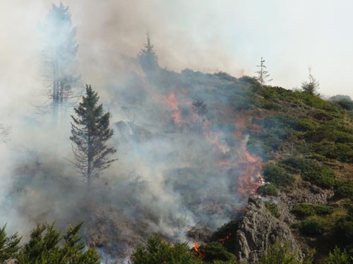 Foto Incendiu in Muntii Gutai (c) eMM.ro