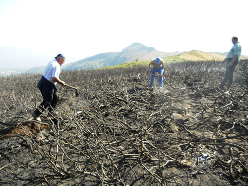 Foto: Incendiu Creasta Cocosului - Maramures