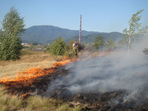 Incendiu langa Baia Mare (c) eMM.ro