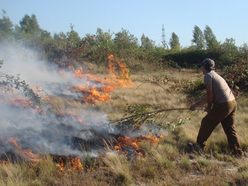 Incendiu langa Baia Mare (c) eMM.ro