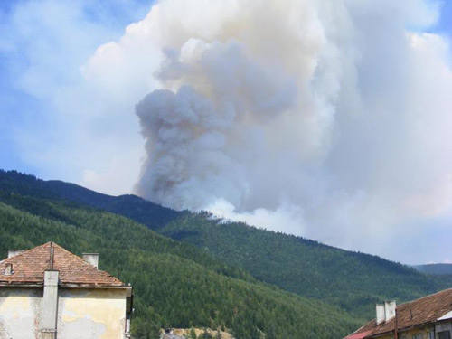 Foto: Incendiu de padure la Borsa (c) Florin Halastauan