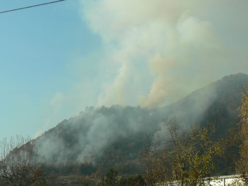 Foto: incendiu padure - Chiuzbaia (c) eMaramures.ro