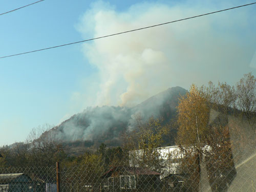 Foto: incendiu padure - Chiuzbaia (c) eMaramures.ro