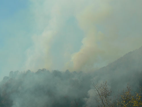 Foto: incendiu padure Chiuzbaia (c) eMaramures