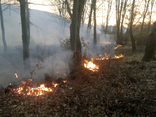 Incendiu de vegetatie (c) eMaramures.ro