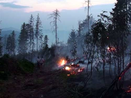 FOTO: Incendiu in Muntii Rodnei (c) eMM.ro