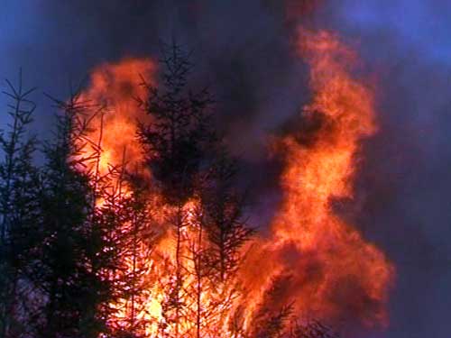 FOTO: Incendiu in Muntii Rodnei (c) eMM.ro