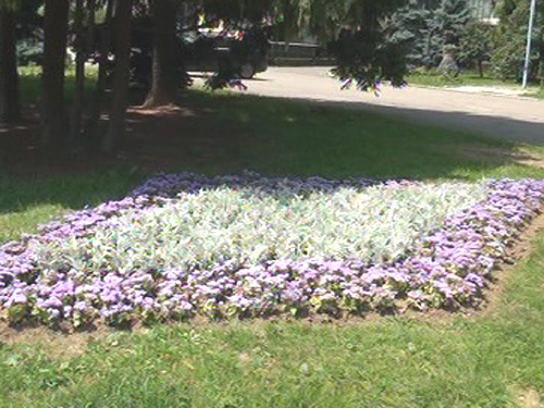 In parc c) eMM.ro