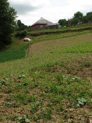 Foto: pamant Salistea de Sus (c) eMaramures.ro