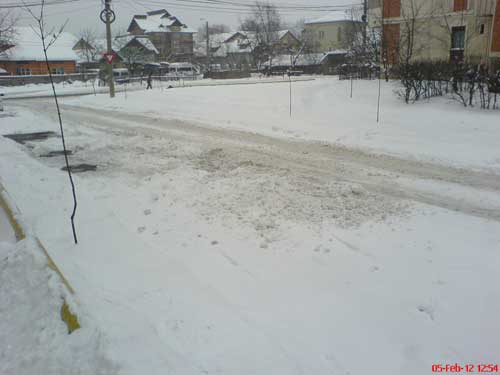 Foto: deszapezire Baia Mare (c) eMaramures.ro
