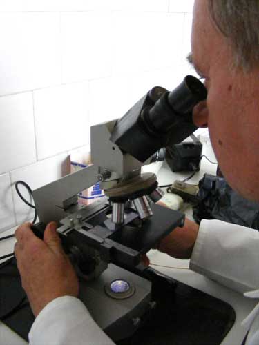 Foto microscop (c) eMaramures.ro