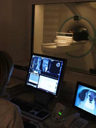 Foto medicina nucleara