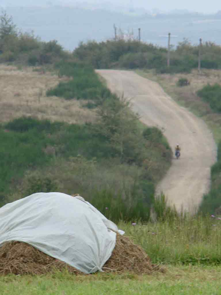 Foto Ariesul de Padure - locatie depozit ecologic - poligon militar (c) eMaramures