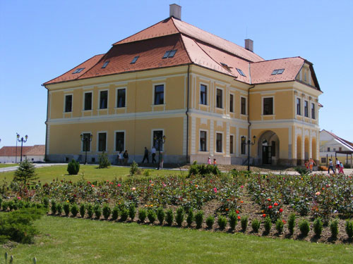 Castelul Teleki din Satulung (c) eMM.ro 