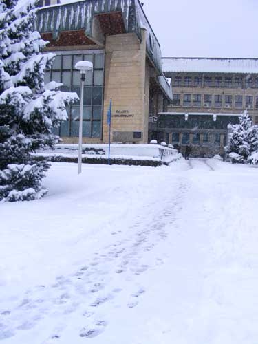 Foto Palatul Administrativ Baia Mare