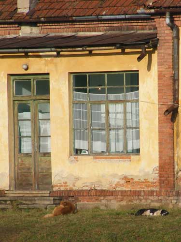 Foto sectie Neurologie - Spitalul Municipal Sighetu Marmatiei (c) eMaramures.ro