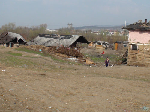 Foto: Pirita - Meda (c) eMaramures