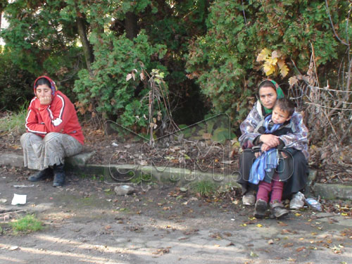 Foto: razie cersetori Baia Mare (c) eMaramures.ro