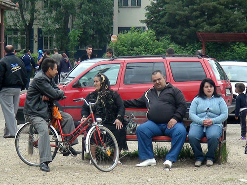 Foto: romi combinat Phoenix Baia Mare (c) eMaramures.ro