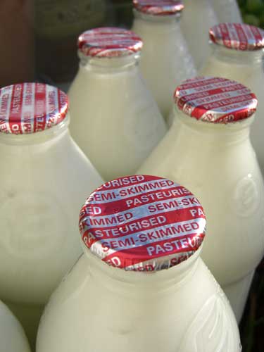 Foto sticle lapte 